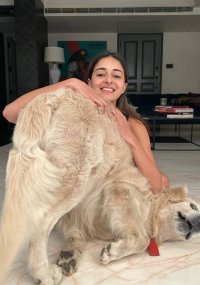 ananya panday_teluguvox 2